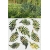 ROS51 50x47 naklejka na okno wzory roślinne - paprocie
